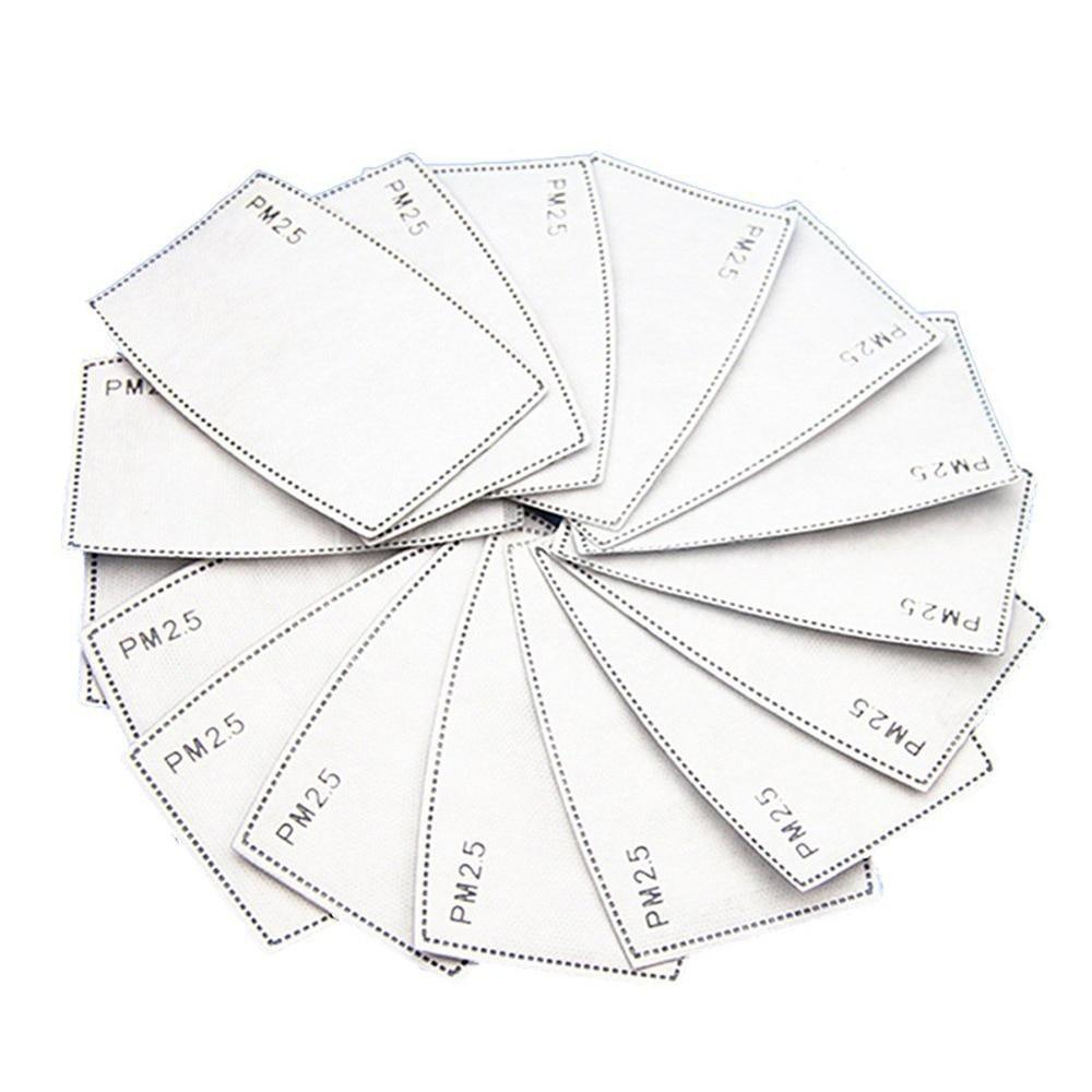 10pcs PM2.5 Filter Papers
